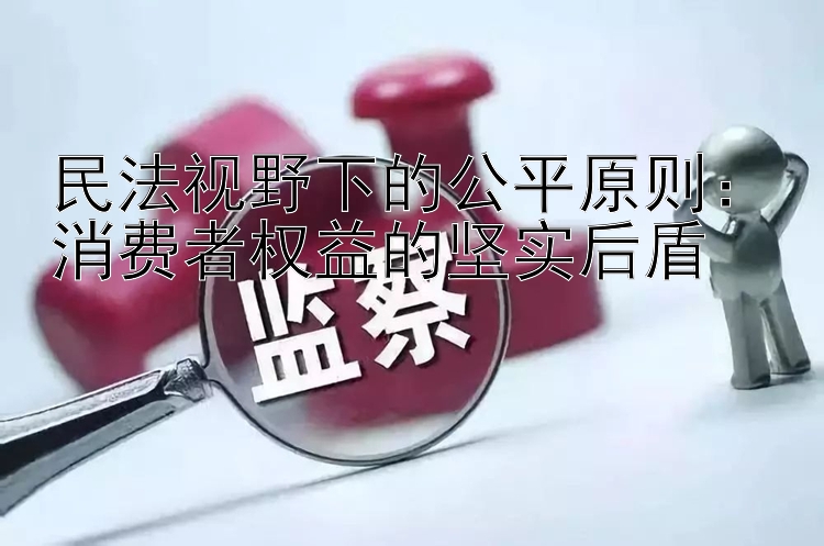 民法视野下的公平原则：消费者权益的坚实后盾