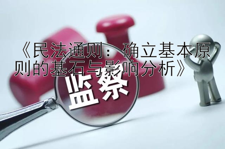 《民法通则：确立基本原则的基石与影响分析》