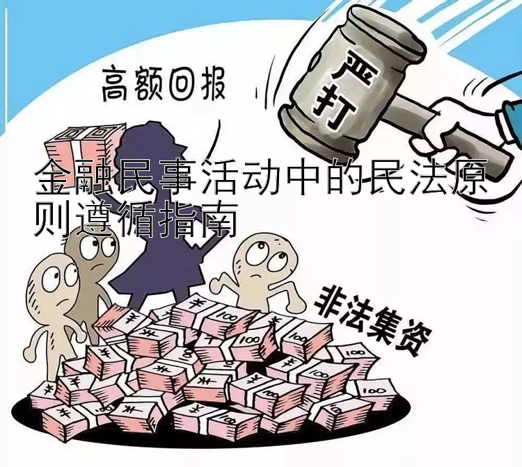 金融民事活动中的民法原则遵循指南