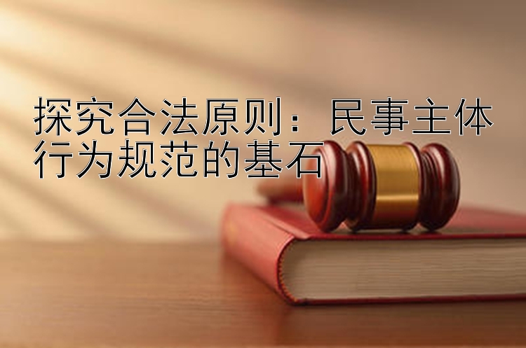 探究合法原则：民事主体行为规范的基石