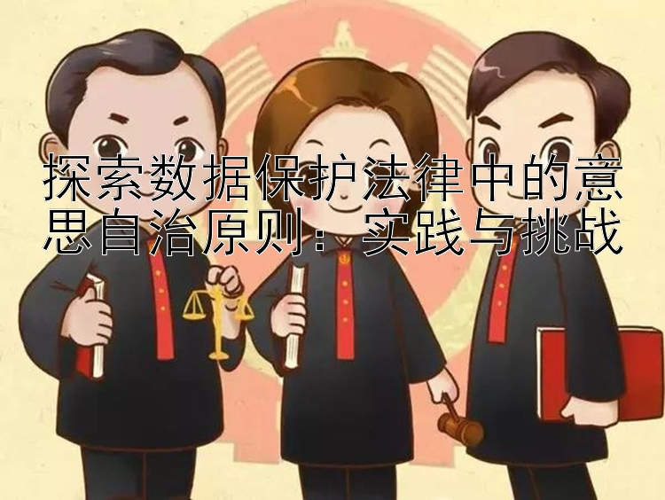 探索数据保护法律中的意思自治原则：实践与挑战