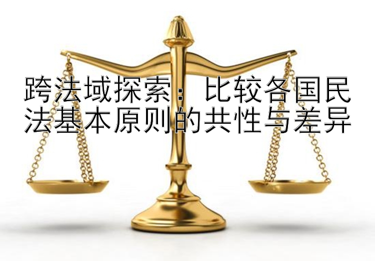 跨法域探索：比较各国民法基本原则的共性与差异