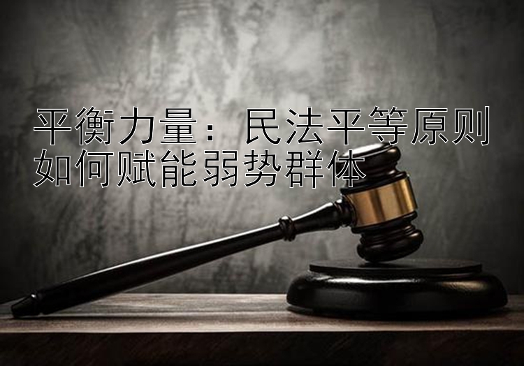 平衡力量：民法平等原则如何赋能弱势群体