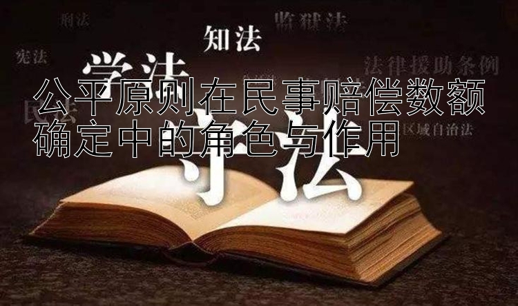 公平原则在民事赔偿数额确定中的角色与作用