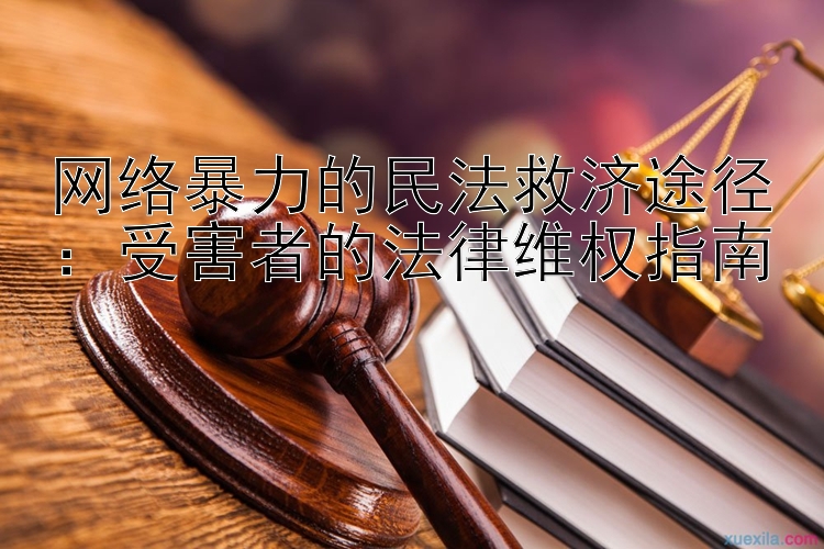 网络暴力的民法救济途径：受害者的法律维权指南