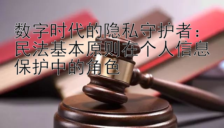 数字时代的隐私守护者：民法基本原则在个人信息保护中的角色