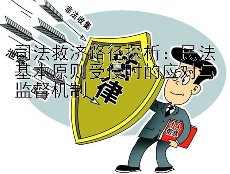 司法救济路径探析：民法基本原则受侵时的应对与监督机制