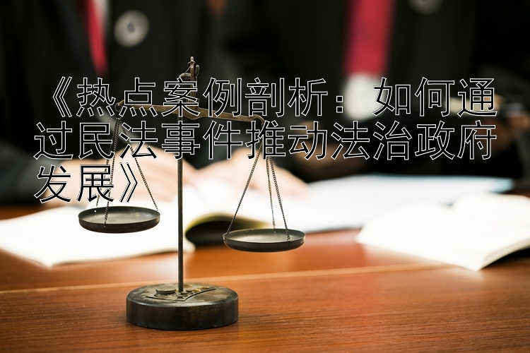 《热点案例剖析：如何通过民法事件推动法治政府发展》