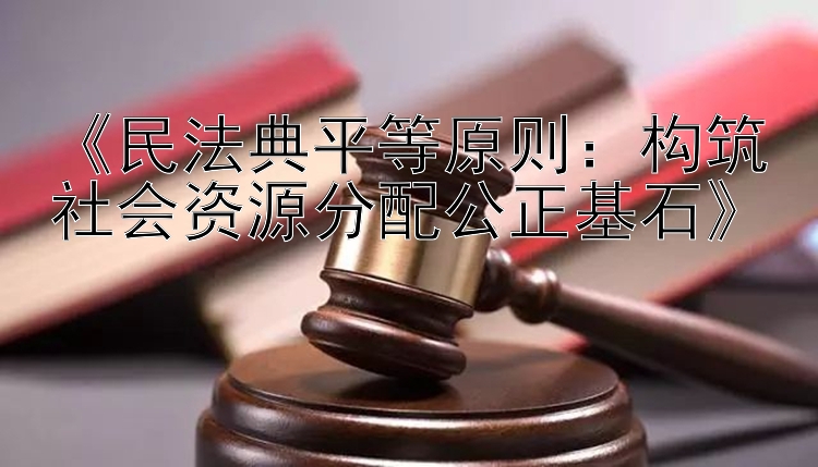 《民法典平等原则：构筑社会资源分配公正基石》